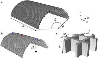 Expanding the Build Plate: Functional Morphing 3D Printed Structures Through Anisotropy